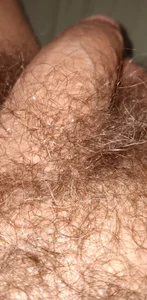 Aluntrus@xh Public Pic 4