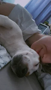 with dogs de _ni_kiss Foto