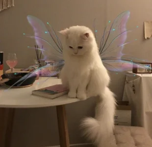 SelenaStoneのPublicの枚の写真