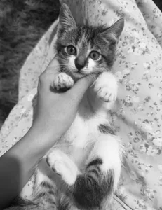 Hanni_Dulce 𝙻𝚞𝚔𝚒💞✨ Poză 3