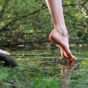 yulladao nymphe des marais Pic 3