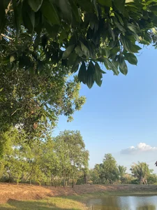 demonaughtyyyのPlacesの 3枚の写真