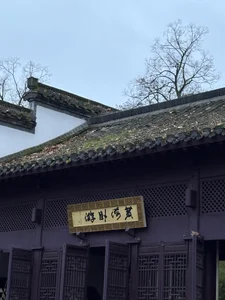 Zdjęcia Tommy_Lidds China park 🌴🍃:  5