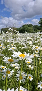 FreezingTie850: Public ( 3 фото)