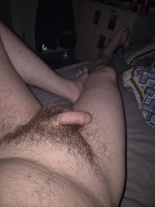 Public de Letshavefunandcum  Imagens