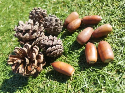 yuna-yourgirlfriend season Pic