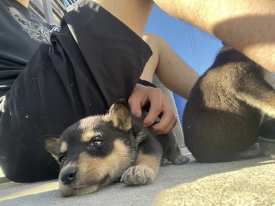 kevinsito1 Public Immagine  9