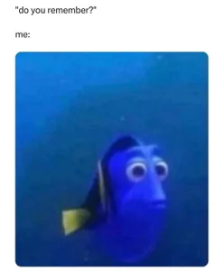 MaddisonHaas memes🤭 Pic 4