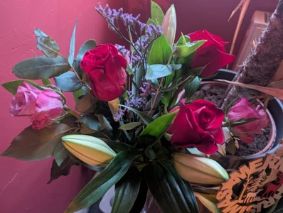 FreyaFucksFans 🎁 REAL fans send gifts! 🦊 사진 3