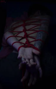 Public de Thomas_Norton  2 Imagens