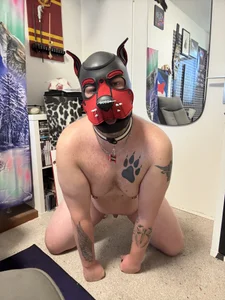 PupW0lfy Teasing 🥵😏 Foto 6