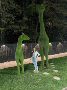 Cyraya Public slika 9