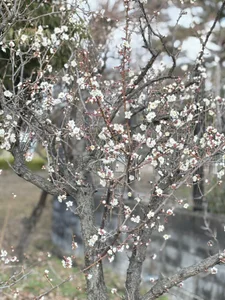 xxoLENAoxx a parco Foto 4