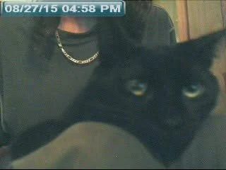 my fur babies over the years de Opondestre00420 Foto 7