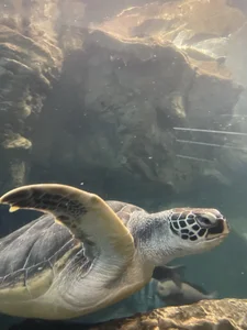 Rukachan_ kullanıcısının Public albümü -  4 fotoğraf