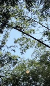 Samantha_Hans Disconnecting in nature 🇨🇴 🍃 사진 2