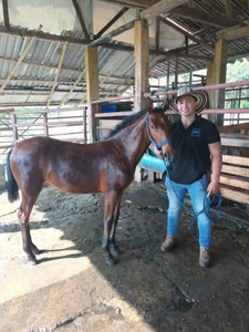 worker de Ryan_Hunt  3 Imagens