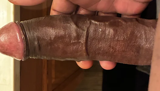 HorsemannyのPublicの枚の写真