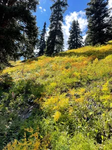 Anisha_Foxx Blue Lakes in Colorado Pic 3