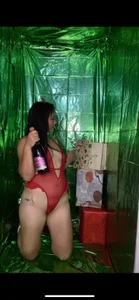 faberdubois1 Merry Chrismas 🎄🎅🪅 Pic 2