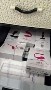 DISNI1997 Lovence for sell Hình 2