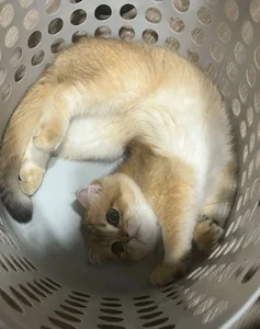 Yuyu-baobei Public Foto 5