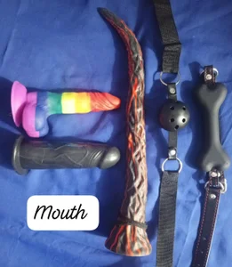 salo_bdsm toys ⸜(｡˃ ᵕ ˂ )⸝♡ Hình 2