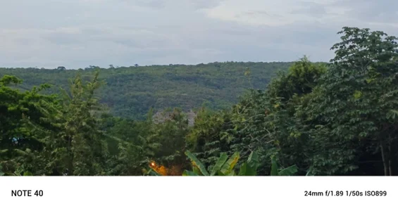 abbymora I Love my Country Foto