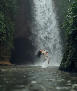 Bobtail_Formal Public Billede 4