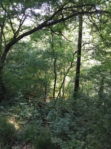 Betty2u Viajando.... pensando em ti ❤️‍🔥💋 Foto 5