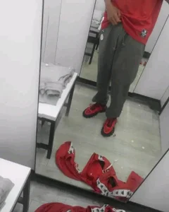 gemini_loopsPublic图片