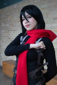 Akane-Mou Mikasa Ackerman 圖片