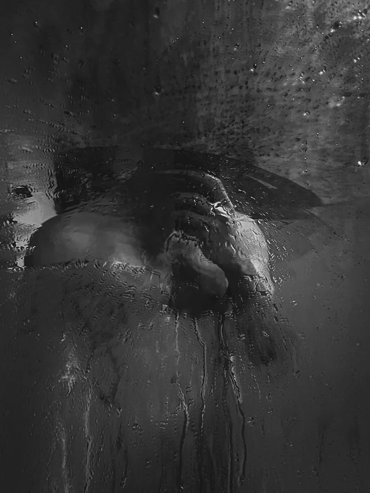 Lucii__ferrさんのトレンドな 7641枚の写真