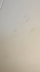 Pikashu7u7 Teaser pics  5টি ছবি