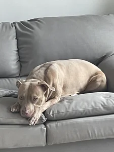 MadameAnaliMy routine would say 🥰🥰 Bild 3