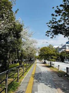 Mao0721❤️ Bild 4