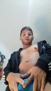 Zdjęcia walaber Public:  3