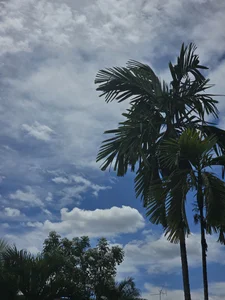 Public de Ryan_ruru  5 photos