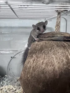 Fine-sand: 米果專屬 ( фото)