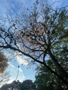 💋 Rest Tuesday 💫 de Dollar-girl  8 photos