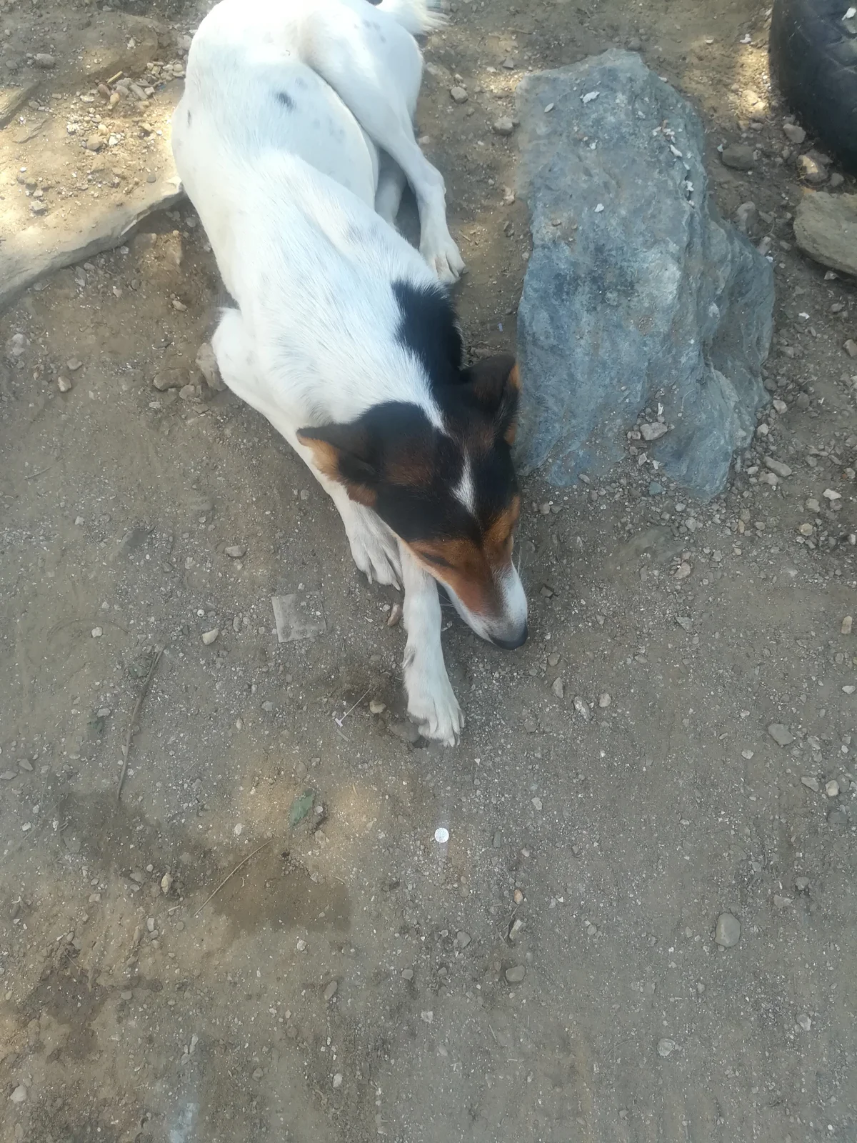 Трендове зображення  436 kimseyes@xh