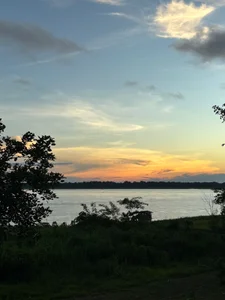 Amazon, COL 🇨🇴 od Wkatte  6 snímek