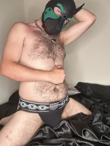 🐶 de cubkylejohn  3 Imagens