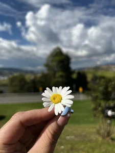 Amyy_1 kullanıcısının Public albümü -  9 fotoğraf