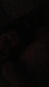 Public de Peterbilt11  photos