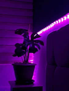 anaroman01 Our moments ❤️✨ Pic 2