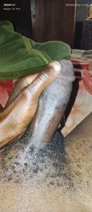 -Rider21 Hottest Black Cock 🤤🍆💦👅 Pic 6