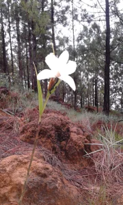 TommhotのNatureの 8枚の写真