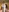HYPHYtype's photo