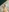 SerenaReese's photo